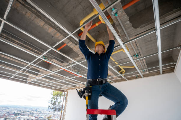 Best Leak Detection Services  in Lisbon, IA